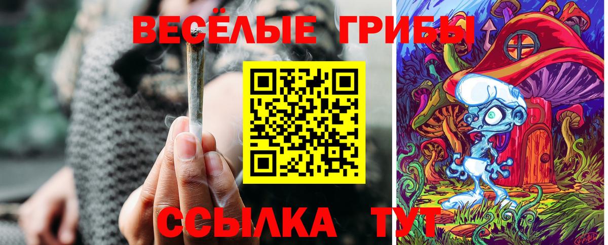 Псилоцибиновые грибы мухоморы Салехард