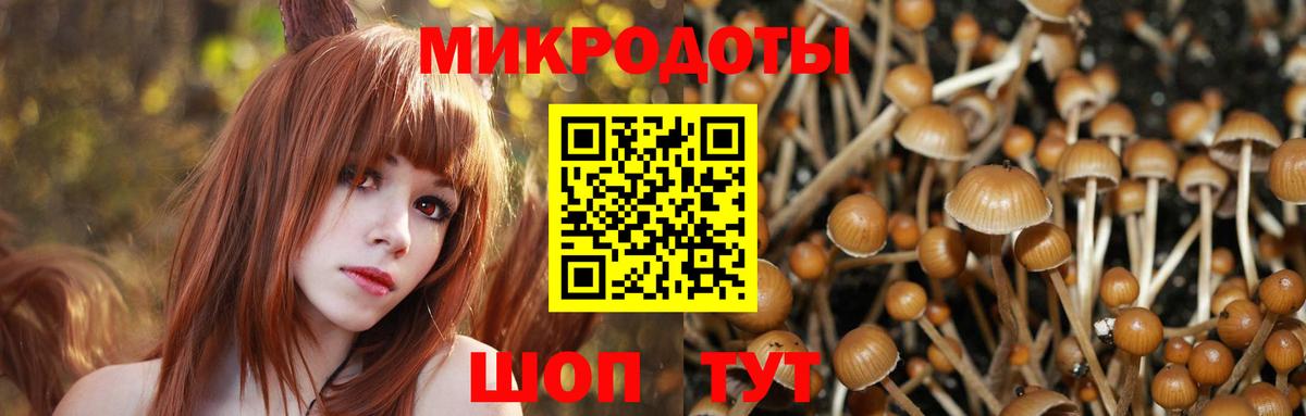 Салехард  хочу наркоту  Вход с VPN  Псилоцибиновые грибы GOLDEN TEACHER  Галлюциногенные грибы ЛСД 